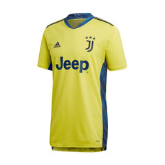 Meeste T-särk Adidas Juventus Turin M FI5004 hind ja info | Meeste spordiriided | kaup24.ee