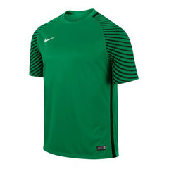 Meeste T-särk Nike Gardien M 725889319, roheline hind ja info | Meeste T-särgid | kaup24.ee