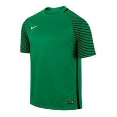 Футболка мужская Nike Gardien M 725889319, зеленая цена и информация | Мужские футболки | kaup24.ee