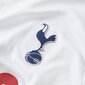 Meeste T-särk Nike Tottenham Hotspur Stadium Home M CV7918101, valge hind ja info | Meeste T-särgid | kaup24.ee