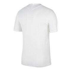 Мужская футболка Nike Tottenham Hotspur Stadium Home M CV7918101, белая цена и информация | Meeste T-särgid | kaup24.ee
