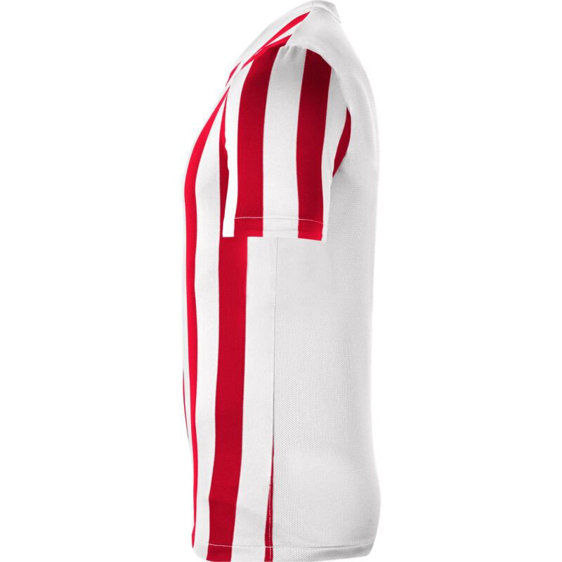 Meeste T-särk Nike Striped Division IV M CW3813104, punane hind ja info | Meeste T-särgid | kaup24.ee