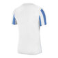 Meeste T-särk Nike Striped Division IV M CW3813103, sinine hind ja info | Meeste T-särgid | kaup24.ee