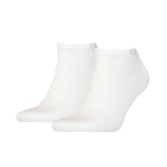 Calvin Klein meeste sokid 2pk, valge цена и информация | Мужские носки | kaup24.ee