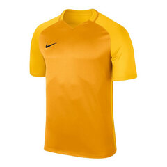 Футболка детская Nike Dry Trophy III Jr 881484739, желтая цена и информация | Рубашки для мальчиков | kaup24.ee