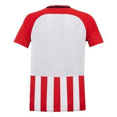 Laste T-särk Nike Striped Division Jr 894102658, punane цена и информация | Рубашки для мальчиков | kaup24.ee