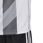 Laste T-särk Adidas Striped 19 Jr DU4398, valge цена и информация | Poiste särgid | kaup24.ee