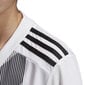 Laste T-särk Adidas Striped 19 Jr DU4398, valge цена и информация | Poiste särgid | kaup24.ee