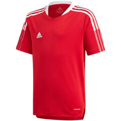 T-särk Adidas Tiro 21 Training Jer Jr GM7576 цена и информация | Рубашки для мальчиков | kaup24.ee