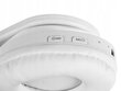 Valged juhtmevabad Bluetooth-kõrvaklapid koos helendavate kassikõrvadega lastele. hind ja info | Kõrvaklapid | kaup24.ee