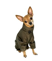 Комбинезон-дождевик, зелёный цена и информация | Одежда для собак | kaup24.ee