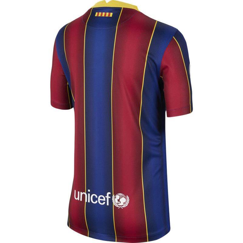 Laste T-särk Nike FC Barcelona 2020/21 Stadium Home Jr CD4500456, sinine цена и информация | Poiste särgid | kaup24.ee