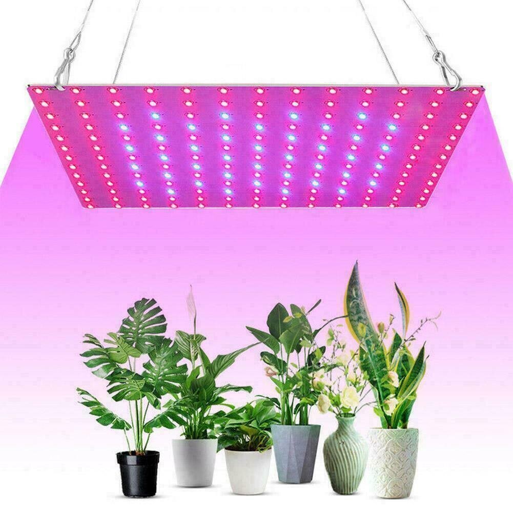 169 LED ripp-paneel taimede kasvatamiseks hind ja info | Nutipotid ja taimelambid | kaup24.ee