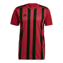 Футболка для мужчин Adidas Striped 21 M GV1381 цена и информация | Meeste T-särgid | kaup24.ee