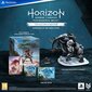 PS5 Horizon Forbidden West Collector's Edition - Digital Download (PRE-ORDER ONLY 18.02.2022) цена и информация | Arvutimängud, konsoolimängud | kaup24.ee