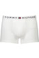 Meeste aluspüksid Tommy Hilfiger Boxer Men, valged цена и информация | Meeste aluspesu | kaup24.ee