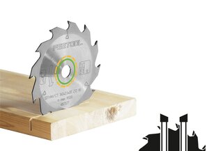 Пильный диск Festool, HW 160x2,2x20 W18 WOOD STANDARD 768129 цена и информация | Механические инструменты | kaup24.ee