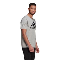 Мужская футболка Adidas Essentials Big Logo M GK9123, серая цена и информация | Мужские футболки | kaup24.ee