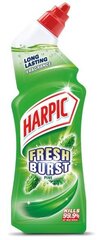 Очиститель для туалетов гель HARPIC Active Fresh Pine 750 мл цена и информация | Скрабы | kaup24.ee