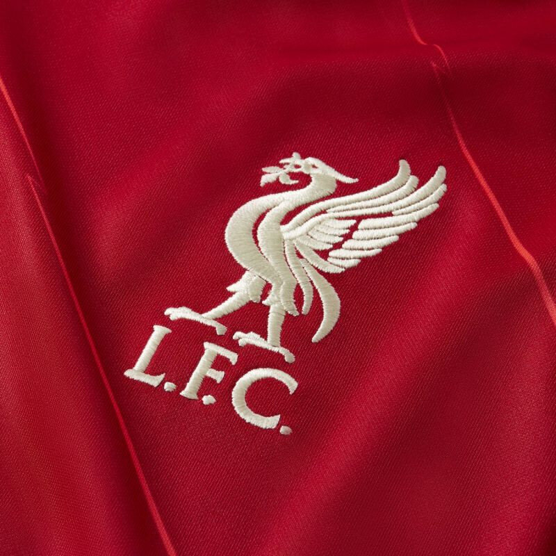 Nike Liverpool FC Stadium Home meeste spordisärk, punane hind ja info | Meeste spordiriided | kaup24.ee