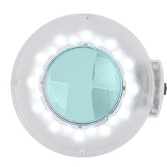 Laualamp Led 5D 12W цена и информация | Мебель для салонов красоты | kaup24.ee