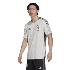 Meeste T-särk Adidas Juventus Training Jersey M GR2937, valge hind ja info | Meeste T-särgid | kaup24.ee