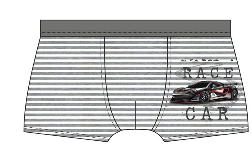 Aluspüksid - bokserid Cornette Kids Boy 701/106 Race Car 3, hallid hind ja info | Poiste aluspesu | kaup24.ee