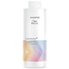 Šampoon Wella Professionals Color Motion värvitud juustele, 50 ml цена и информация | Шампуни | kaup24.ee