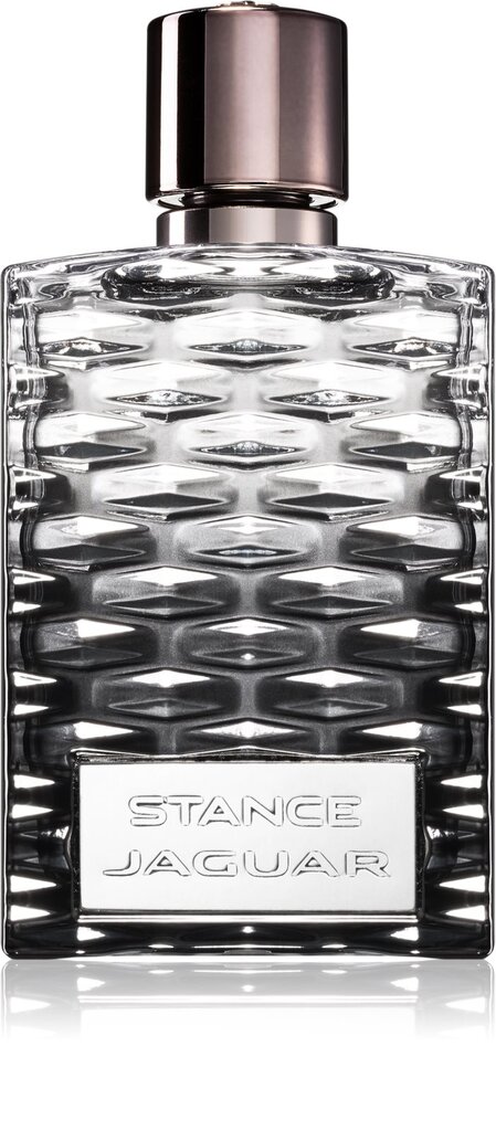 Tualettvesi Jaguar Stance Jaguar – EDT 100 ml цена и информация | Meeste parfüümid | kaup24.ee