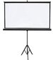 Projektori ekraan 4World, statiiviga, 159 x 90 cm, (16:9) цена и информация | Projektori ekraanid | kaup24.ee