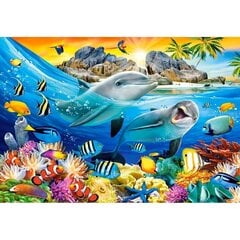 Пазл Castorland Puzzle Dolphins in the tropics, 1000 дет. цена и информация | Пазлы | kaup24.ee