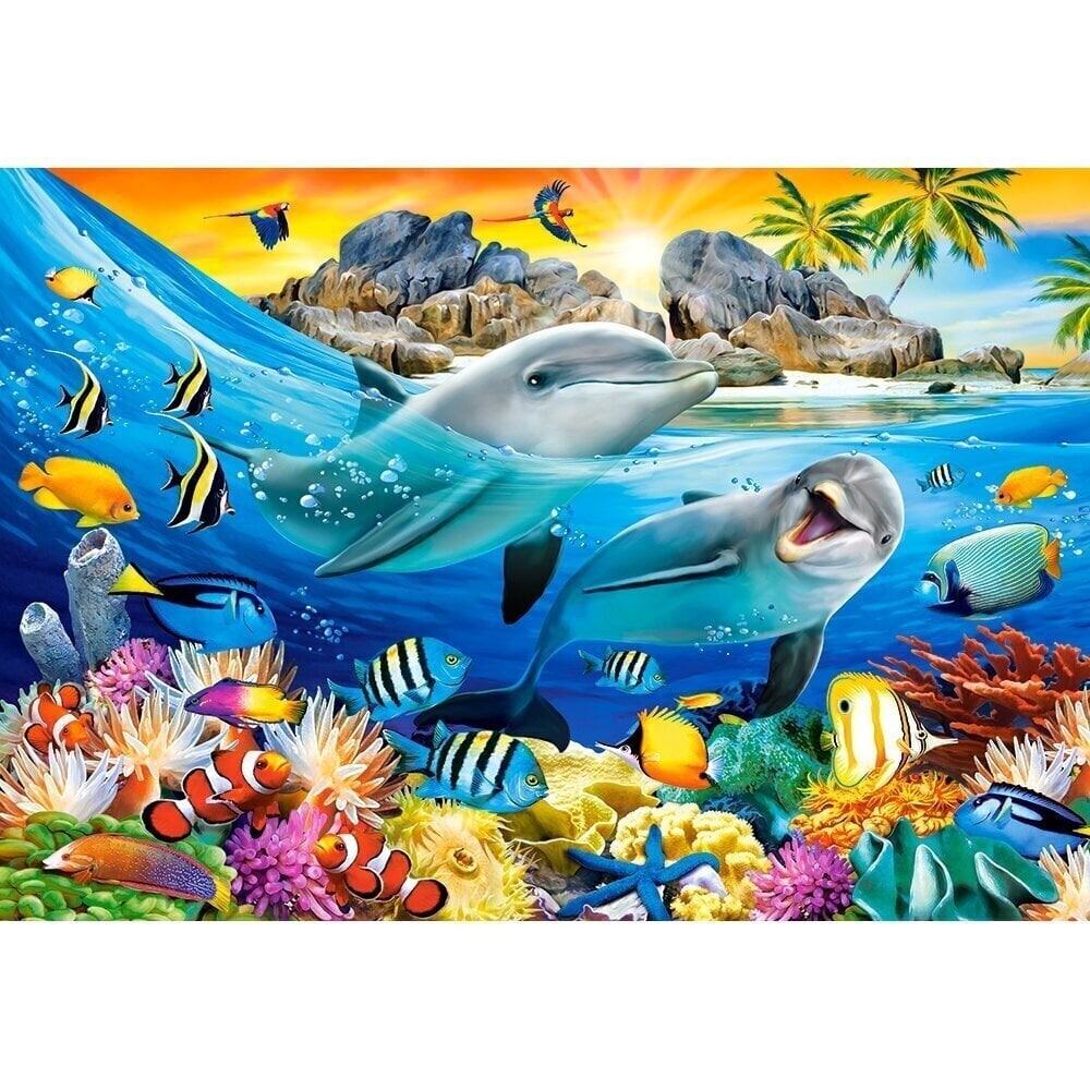 Pusle Castorland DOLPHINS IN THE TROPICS 1000 tk hind ja info | Pusled | kaup24.ee