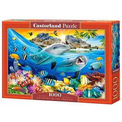 Pusle Castorland DOLPHINS IN THE TROPICS 1000 tk hind ja info | Castorland Lapsed ja imikud | kaup24.ee