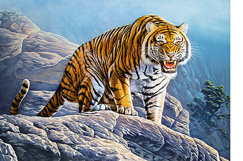 Pusle Castorland Tiger on the Rocks 500 tk цена и информация | Pusled | kaup24.ee