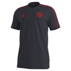 Meeste T-särk Adidas FC Bayern GR0658 hind ja info | Jalgpalli varustus ja riided | kaup24.ee