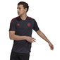 Meeste T-särk Adidas FC Bayern GR0658 hind ja info | Jalgpalli varustus ja riided | kaup24.ee