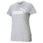 Naiste T-särk Puma Amplified Graphic Tee W 585902 04, hall цена и информация | Naiste T-särgid | kaup24.ee