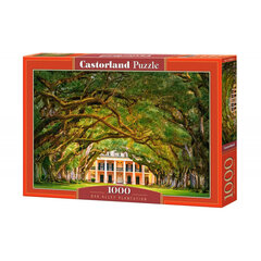 Пазл Castorland Puzzle Oak Alley Plantation, 1000 д. цена и информация | Пазлы | kaup24.ee
