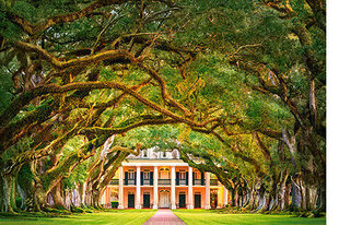 Pusle Castorland OAK ALLEY PLANTATION 1000 tk hind ja info | Pusled | kaup24.ee