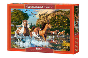 Пазл Castorland Puzzle Horse Wonderland, 1000 шт. цена и информация | Пазлы | kaup24.ee