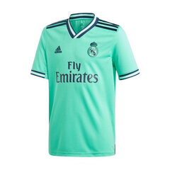 Laste T-särk Adidas Real Madrid 3rd Jr DX8917, roheline цена и информация | Рубашки для мальчиков | kaup24.ee