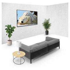 TV kinnitus TM Electron, 20 kg, 10"-32" hind ja info | Teleri seinakinnitused ja hoidjad | kaup24.ee