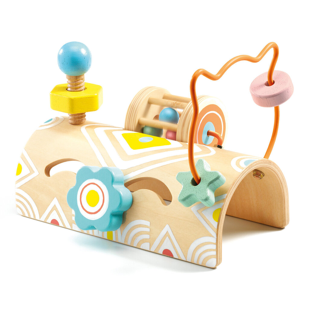 Tegevusmänguasi - Väike puidust tunnel, DJECO DJ06120 hind ja info | Imikute mänguasjad | kaup24.ee
