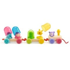Деревянный поезд - Радужный поезд, DJECO DJ06326 цена и информация | Игрушки для малышей | kaup24.ee