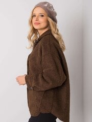 Talvemüts naistele, pruun цена и информация | Женские шапки | kaup24.ee