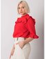 Naise punane vabaaja pluus hind ja info | Naiste pluusid, särgid | kaup24.ee