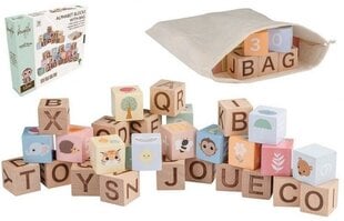 Puidust klotsid Joueco, 30 tk komplektis hind ja info | Imikute mänguasjad | kaup24.ee