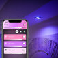 LED pirn Philips Hue GU10 5.7W 350lm цена и информация | Lambipirnid, lambid | kaup24.ee