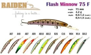 Воблер Akara Raiden Flash Minnow 75 F. цена и информация | Воблеры, приманки, блесны | kaup24.ee