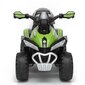 Elektriline laste ATV Enero Micron, roheline hind ja info | Laste elektriautod | kaup24.ee